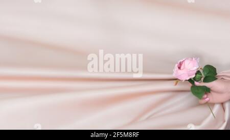 Die Hand des Mädchens hält eine Rose auf einem Hintergrund aus rosa Vanille drapierten Stoff, ohne Fokus Hintergrund, kopieren Raum Stockfoto