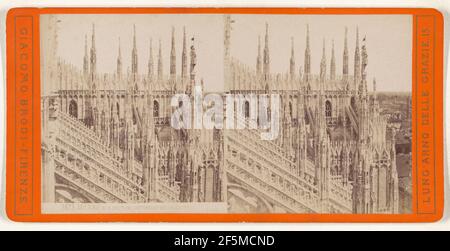 Mailand. Ala Del Sud (Details Della Gattes). Giacomo Brogi (Italienisch, 1822 - 1881) Stockfoto