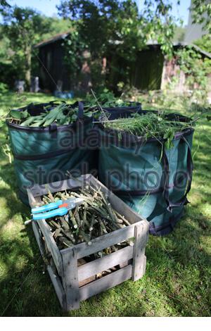 Taschen von grünen Gartenausschnitten an einem Sommertag in Bayern, Deutschland. Stockfoto