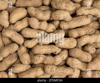 Erdnüsse Samen. Viele Erdnüsse in Muscheln. Erdnüsse Hintergrund. Rohe Erdnüsse auf dem Bauernmarkt. Stockfoto