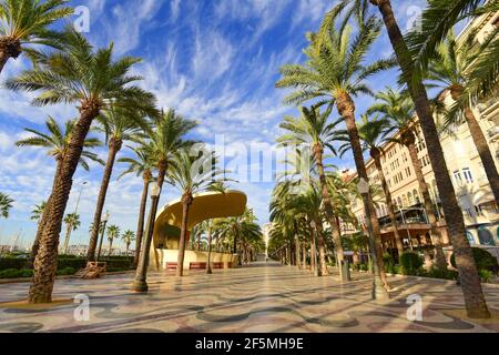 Am frühen Morgen. Explanada de Espana, Alicante. Spanien. Stockfoto