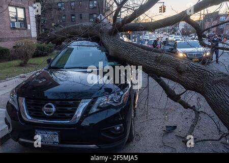 Ein Fahrzeug, das von einem von starken Winden umgestürzten Baum im Stadtteil Astoria in Borough of Queens zerschlagen wurde.der National Weather Service hat für Freitag Nachmittag bis Abend im Dreistaatengebiet eine Windempfehlung herausgegeben, wobei Windböen bis zu 40-50 km/h erreichen. Stockfoto