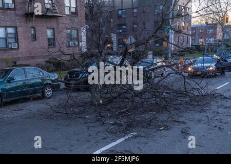 New York, Usa. März 2021, 26th. In der Mitte der Straße im Stadtteil Astoria im Stadtteil Queens ist ein Baum zu sehen, der von starkem Wind umgestürzt wird.der National Weather Service hat für Freitag Nachmittag bis Abend im Dreistaatengebiet eine Windempfehlung herausgegeben, bei der Windböen bis zu 40-50 km/h erreichen. (Foto von Ron Adar/SOPA Images/Sipa USA) Quelle: SIPA USA/Alamy Live News Stockfoto