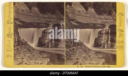 Abschnitt von Sherman oder ersten Herbst.. John Robert Moore (Amerikaner, aktiver Tranton Falls, New York 1870s) Stockfoto