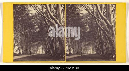Dhu Loch Avenue, Inveraray. George Washington Wilson (Scottish, 1823 - 1893) Stockfoto