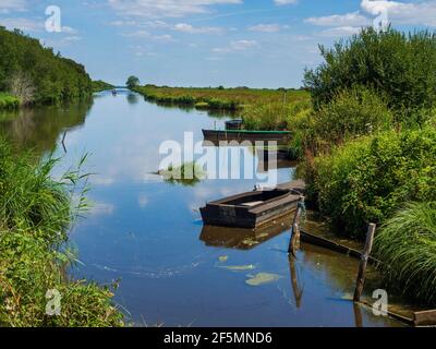 Landschaft des Regionalen Naturparks Grande Brière, Frankreich Stockfoto