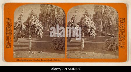 Sonnenlicht und Schatten Luna Island - Winter. Niagarafälle. George E. Curtis (amerikanisch, 1830 - 1910) Stockfoto