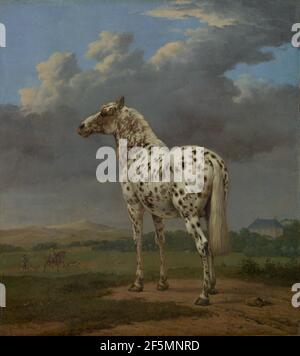 Das Pferd „Piebald“. Paulus Potter (Niederländisch, 1625 - 1654) Stockfoto