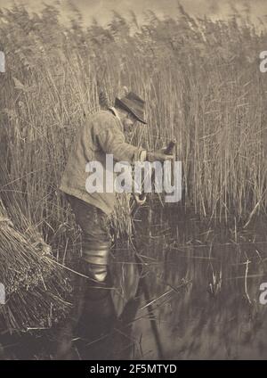 Ein Reed-Cutter bei der Arbeit. Peter Henry Emerson (Brite, geb. Kuba, 1856 - 1936) Stockfoto