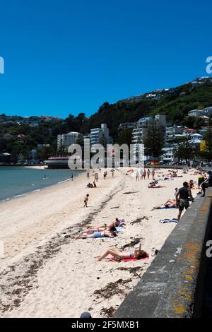 Zentraler Stadtstrand, Oriental Bay, Wellington, Nordinsel, Neuseeland Stockfoto