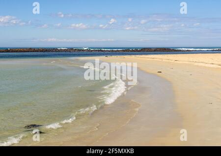 Abgeschiedener Sandstrand auf Griffiths Island - Port Fairy, Victoria, Australien Stockfoto