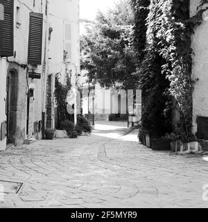 Gasse im malerischen provenzalischen Dorf Grimaud, Frankreich Stockfoto