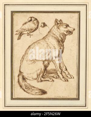 Ein Wolf und zwei Tauben. Sinibaldo Scorza (Italienisch, 1589 - 1631) Stockfoto