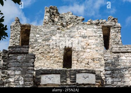 Reiher- oder pelikanähnlicher Stuck auf der Rückseite der El castillo Ruinen in Muyil, Quintana Roo, Halbinsel Yucatan, Mexiko Stockfoto