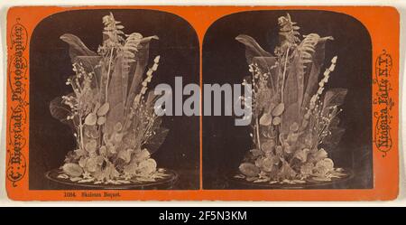 Skelettstrauß... Charles Bierstadt (Amerikaner, geb. Deutschland, 1819 - 1903) Stockfoto