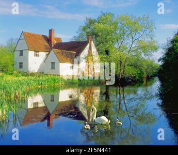 Willy Lotts Hütte, und Schwäne, Stockfoto