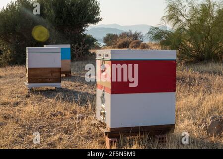 Traditionelle Bienenstöcke sitzen in der mediterranen Sonne, Griechenland, Europa Stockfoto