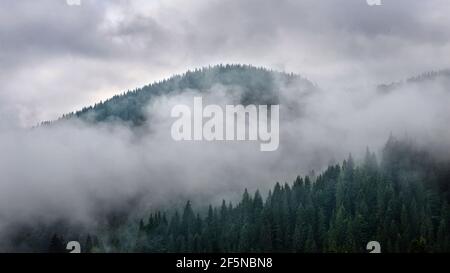 Neblige Landschaft von Bergwald mit verträumten Himmel und Wolken Nach dem Regen Stockfoto