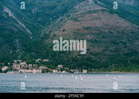 Kleine Segelboote in der Bucht von Kotor, vor dem Hintergrund des Berges, nehmen an der Regatta Teil. Stockfoto