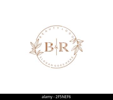 BR Buchstaben schöne floral feminin editierbar vorgefertigten Monoline Logo geeignet für Spa Salon Haut Haar Schönheit Boutique und Kosmetik Unternehmen. Stock Vektor