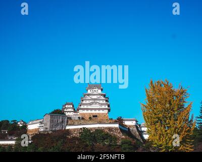 Hyogo, Japan, 8. November 2019: Das weiße Himeji Castle ist der größte und größte Ort in Japan Stockfoto