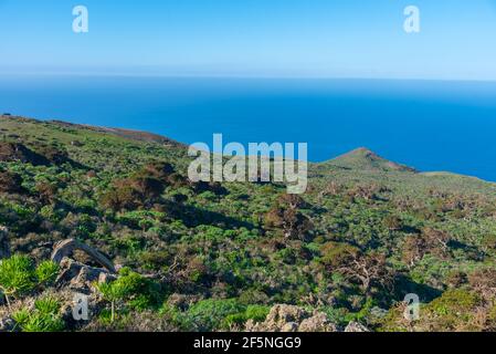 Wind gebogenen Wacholderbäumen bei El Sabinar auf El Hierro Insel auf den Kanarischen Inseln, Spanien. Stockfoto