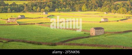 Panorama von alten Steinhäusern, Steinmauern und Schafen im Dorf Gunnerside in der ländlichen englischen Landschaft pastorale Landschaft des Yorkshire D Stockfoto