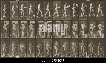 Tierlokomotion. Eadweard J. Muybridge (Amerikaner, geb. England, 1830 - 1904) Stockfoto