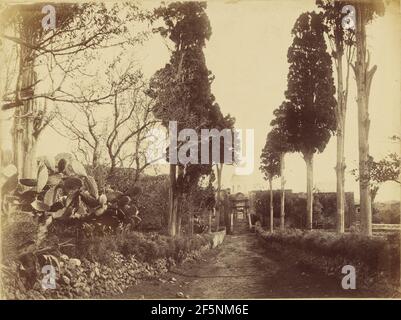 Hagia Triada - Avenue et Couvent ... William J. Stillman (amerikanisch, 1828 - 1901) Stockfoto