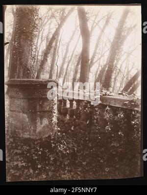 Saint-Cloud Park, Paris. Eugène Atget (Französisch, 1857 - 1927) Stockfoto