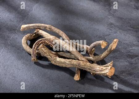 Medizinisches Baldrian wirkt als Beruhigungsmittel und entspannt das Nervensystem - Valeriana officinalis Stockfoto