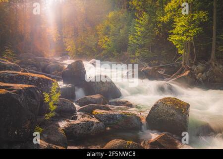 Landschaftlich reizvolle Naturschönheit mit goldenem Sommerlicht auf dem Coffee Creek Wasserfall im Kootenay Lake Provincial Park südlich von Kaslo, British Columbia, Kanada. Stockfoto