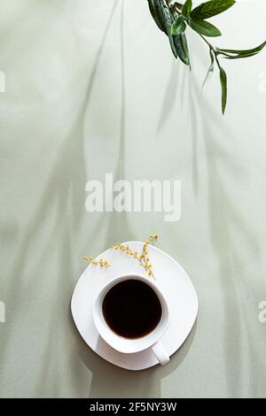 Minimalistisches Frühlingsstill-Leben. Weiße Tasse schwarzen Kaffee, lange Schatten auf einem pastellgrünen Hintergrund. Speicherplatz kopieren. Stockfoto