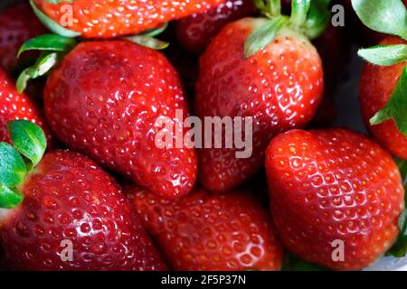 Saftige rote Erdbeeren in Nahaufnahme. Reife, frische Früchte. Gesunde Früchte als Hintergrund. Stockfoto