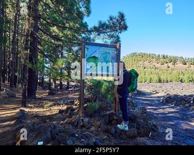 Junge kaukasische Frau auf einer Karte eines Wanderweges in einer vulkanischen Landschaft mit Lavagesteinen von El Teide auf Teneriffa, Kanarische Inseln, Spanien Stockfoto