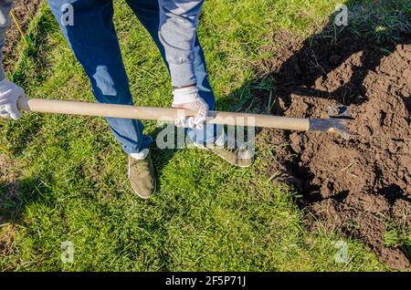 Landwirtschaft, Gartenbau, Landwirtschaft und Menschen Konzept-eine Person mit einer Schaufel gräbt ein Gartenbett auf einem Bauernhof an einem sonnigen Tag. Stockfoto