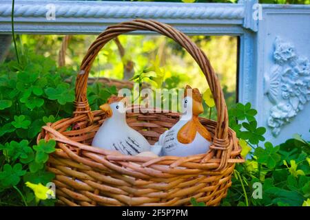 Korb mit Eiern und zwei Keramik-Hühnchen-Figuren in der Mitten in einem Kleeblatt und gelben Blüten Stockfoto