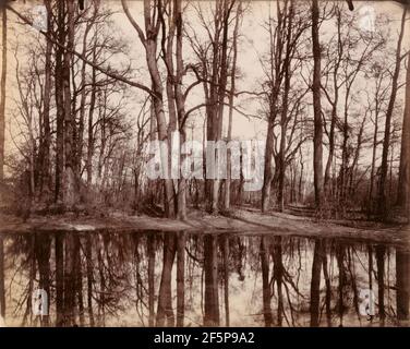 Saint-Cloud. Eugène Atget (Französisch, 1857 - 1927) Stockfoto