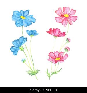 Weiche rosa und blaue Blumen, isoliert auf weiß handbemalte Aquarell-Illustration Stockfoto
