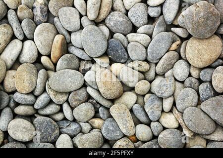 Glatte Steine am Strand gefunden. Stockfoto