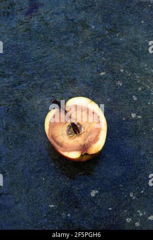 Halb fauler Apfel auf Schiefer Stockfoto