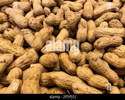 Nahaufnahme eines großen Stapels ungeschälter Erdnüsse in der Haut. Nüsse natürlichen Hintergrund. Stockfoto