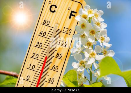 warm temperature at spring with fine weather and sun Stockfoto