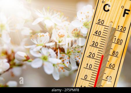 warm temperature at spring with fine weather and sun Stockfoto