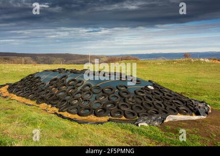 Alte Reifen auf einem Silagehaufen, Auvergne-Rhones-Alpes, Frankreich Stockfoto