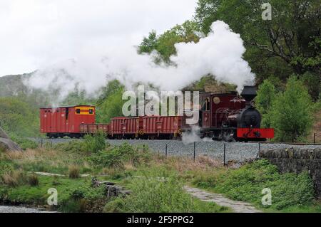 'Fiji' in der Nähe von Bryn y Felin. Stockfoto