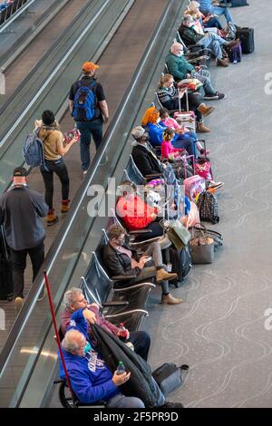 Denver, Colorado - Passagiere warten auf ihre Flugzeuge am Denver International Airport. Reisen hat mit Amerikaner 'Hoffnung, dass die Coronavirus pa erhöht Stockfoto