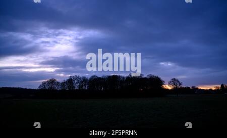 Skyline und Wald am Abend neben RHS Bridgewater Garden Worsley Stockfoto