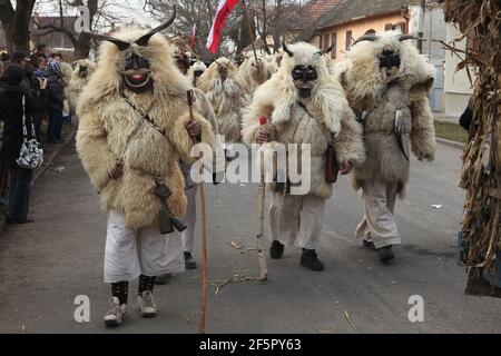 Maskierte Busós Spaziergang durch die Innenstadt am Farsang Dienstag während des Busójárás Karneval in Mohács in Baranya County, Ungarn. Traditionelle jährliche maskierte Feier der ethnischen Gruppe Šokci am Ende der Karnevalssaison (Farsang) in Südungarn. Stockfoto