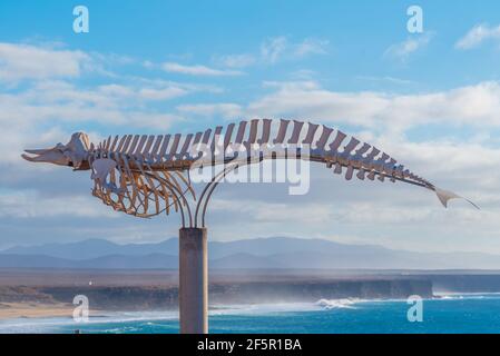 Walskelett ausgestellt auf Fuerteventura, Kanarische Inseln, Spanien. Stockfoto